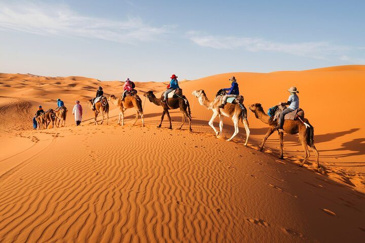 Camel Trekking In Abu Dhabi with Transfer, Fun and More - Photo 1 of 11